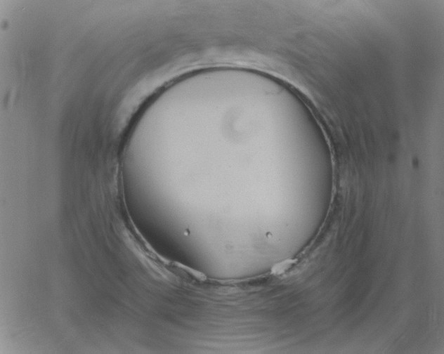 X0000061731507200512231421