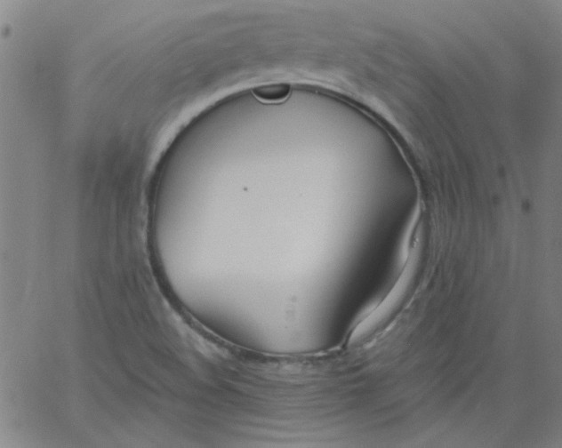 X0000061731508200512231421