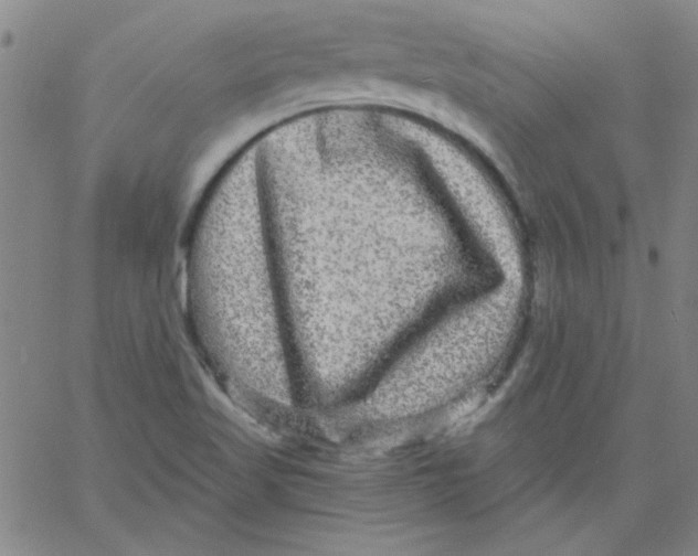 X0000061731509200512231421