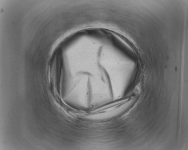 X0000061731510200512231421