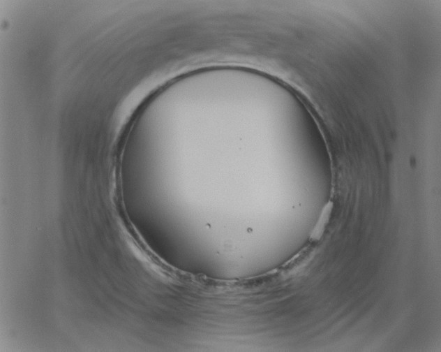 X0000061731511200512231421