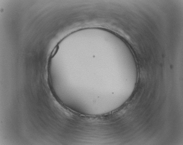 X0000061731512200512231421