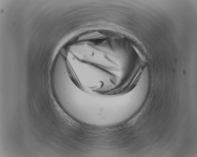 X0000061731514200512231421