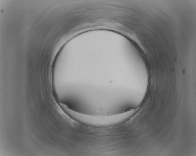 X0000061731516200512231421