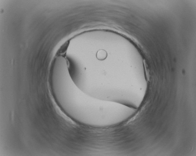 X0000061731518200512231421