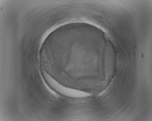 X0000061731519200512231421