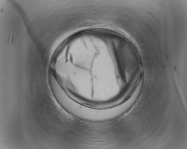 X0000061731520200512231421