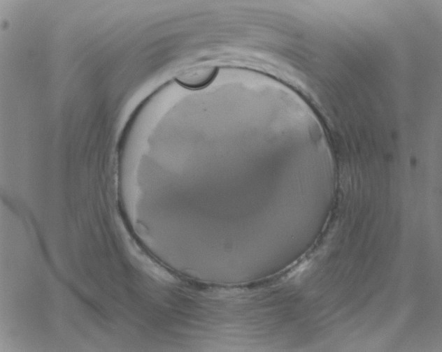 X0000061731522200512231421