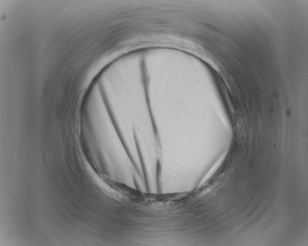 X0000061731523200512231421