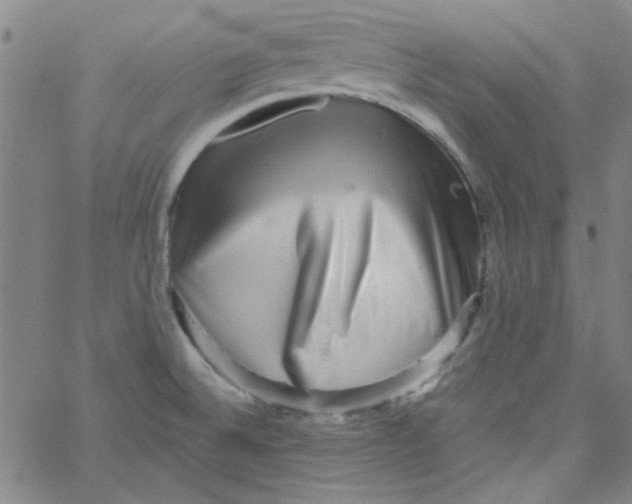 X0000061731524200512231421