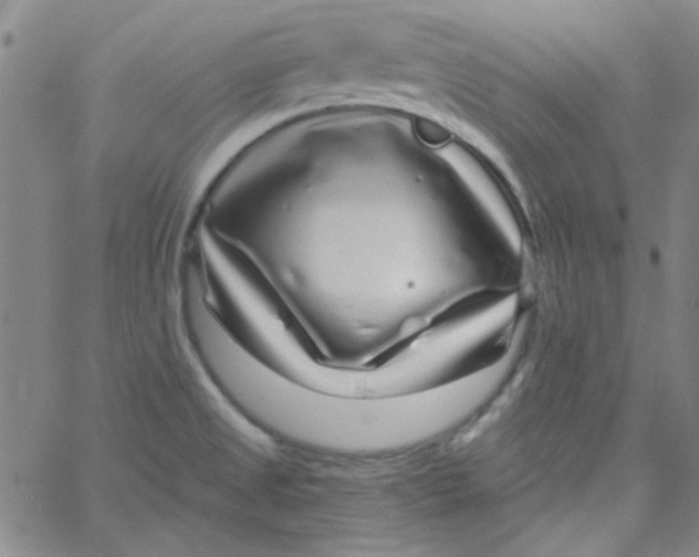 X0000061731525200512231422