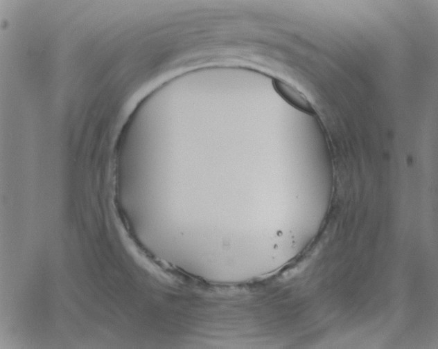 X0000061731526200512231422