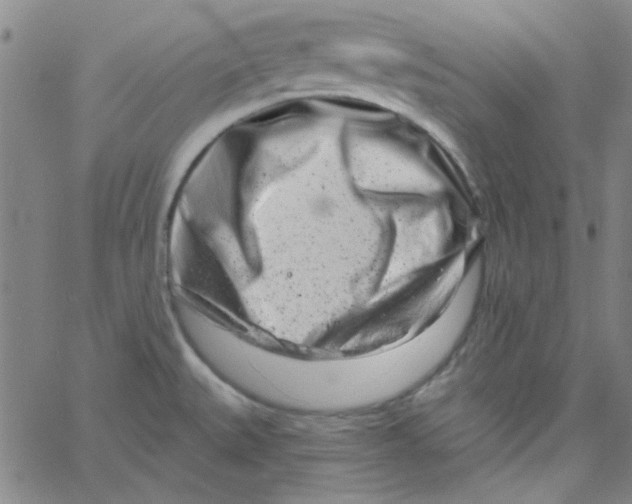 X0000061731527200512231422