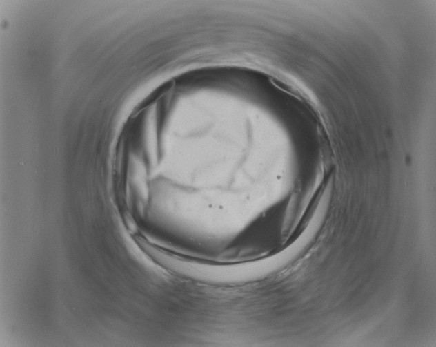 X0000061731528200512231422