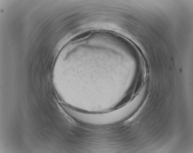 X0000061731529200512231422