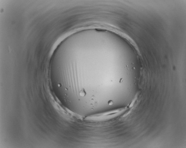 X0000061731530200512231422