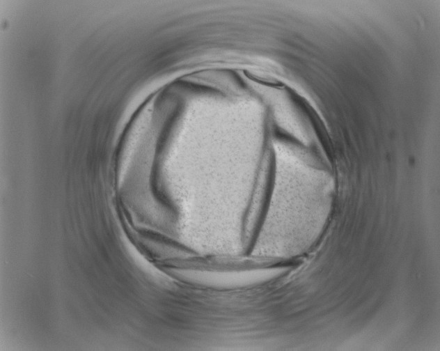 X0000061731531200512231422