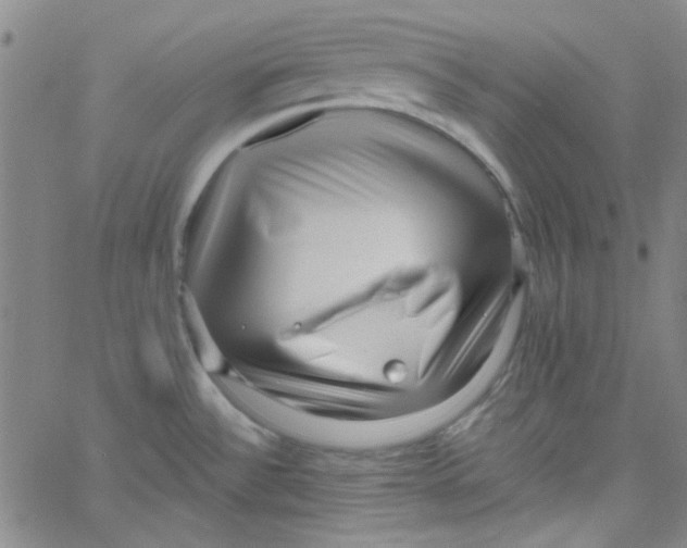 X0000061731532200512231422