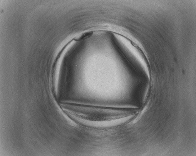 X0000061731533200512231422