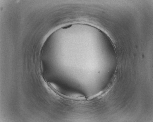 X0000061731534200512231422