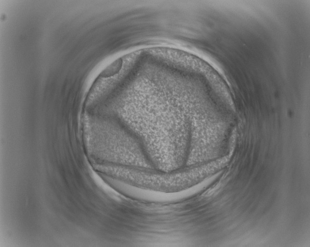 X0000061731535200512231422