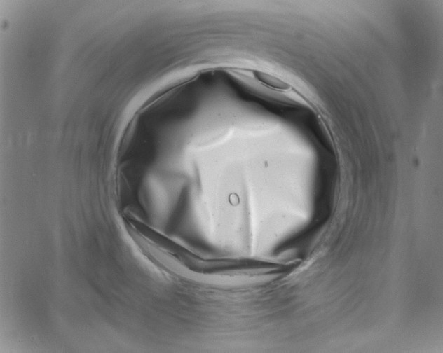 X0000061731536200512231422