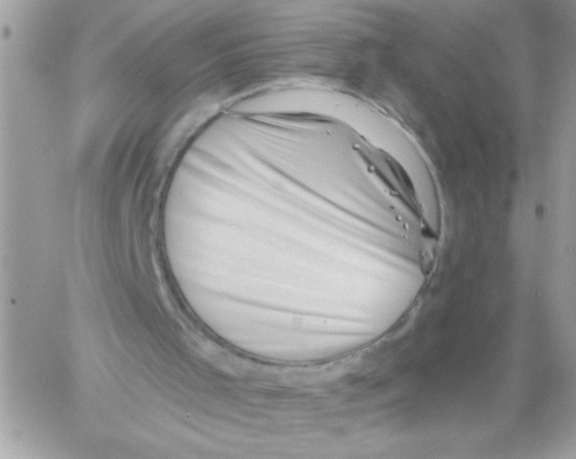 X0000061730001200512302158