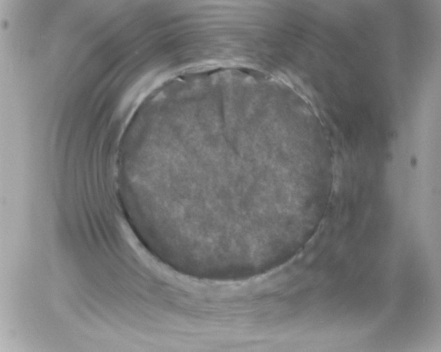 X0000061730002200512302158