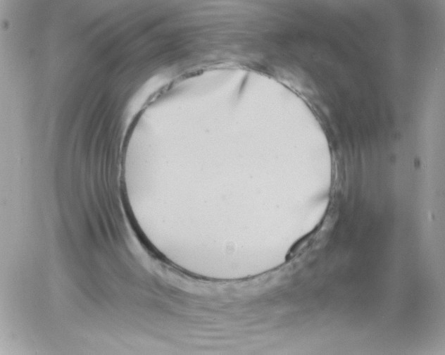 X0000061730003200512302158