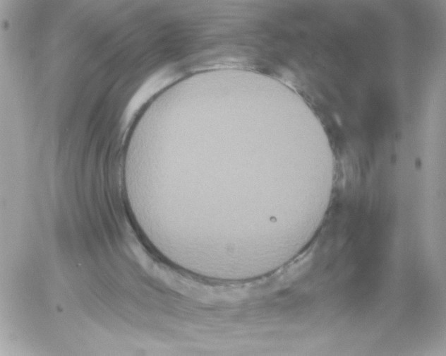 X0000061730004200512302158