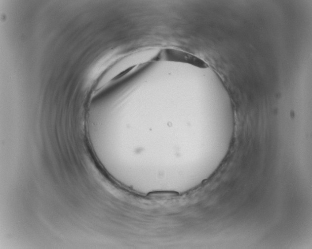 X0000061730005200512302157