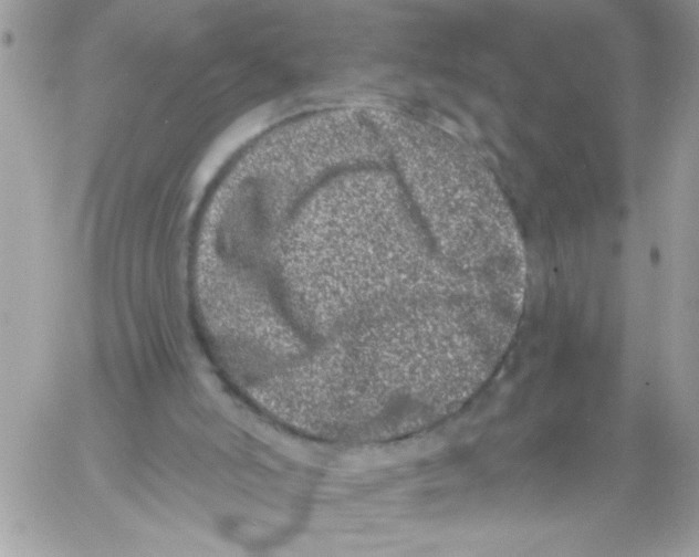 X0000061730006200512302157