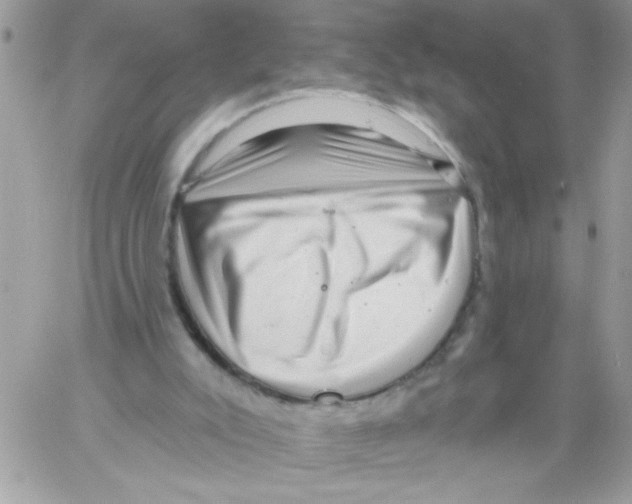 X0000061730007200512302157