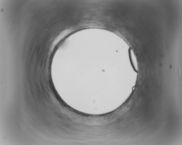 X0000061730008200512302157