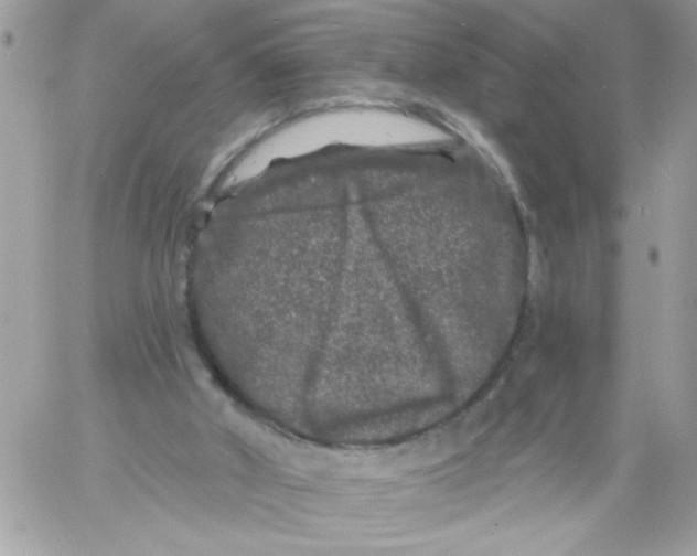 X0000061730010200512302157