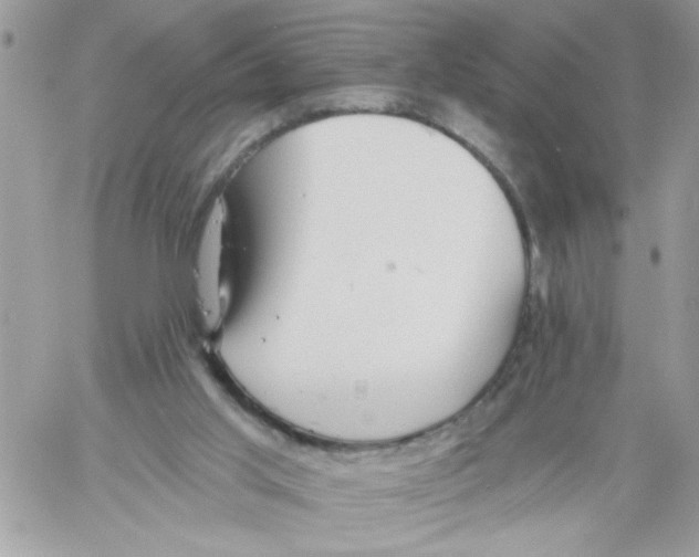 X0000061730013200512302157