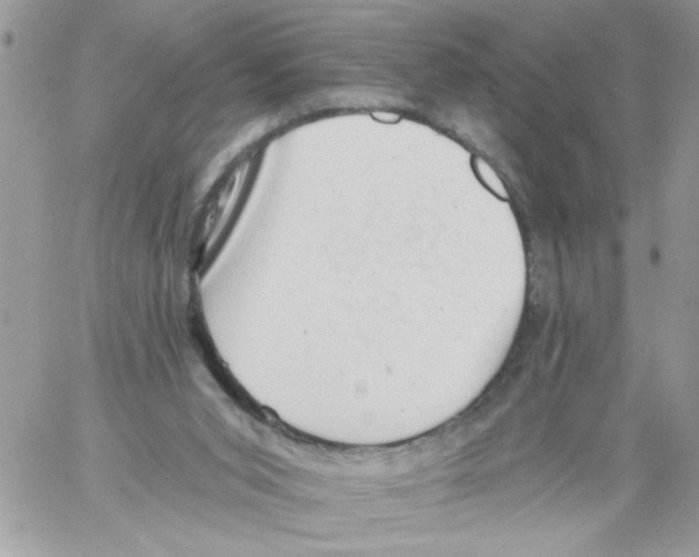 X0000061730015200512302157