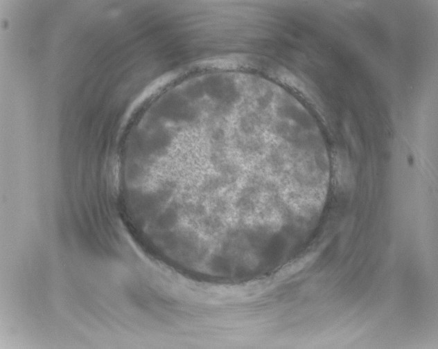 X0000061730016200512302157