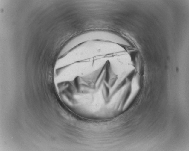 X0000061730017200512302157