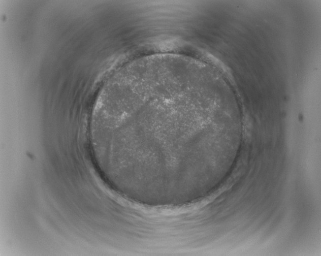 X0000061730018200512302157