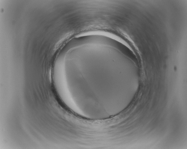 X0000061730019200512302157