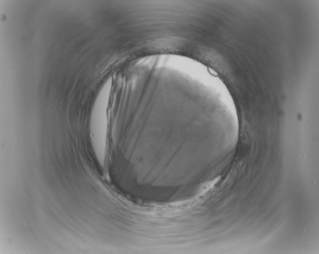 X0000061730021200512302157