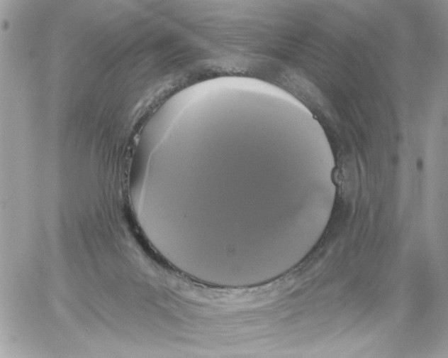 X0000061730023200512302157