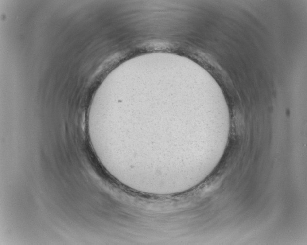 X0000061730024200512302157