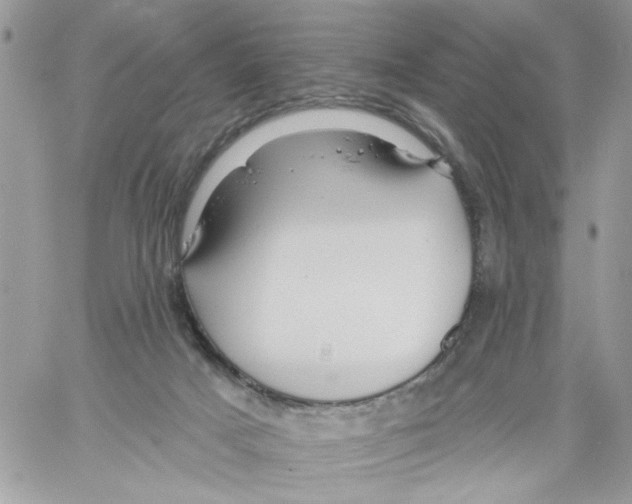 X0000061730025200512302157