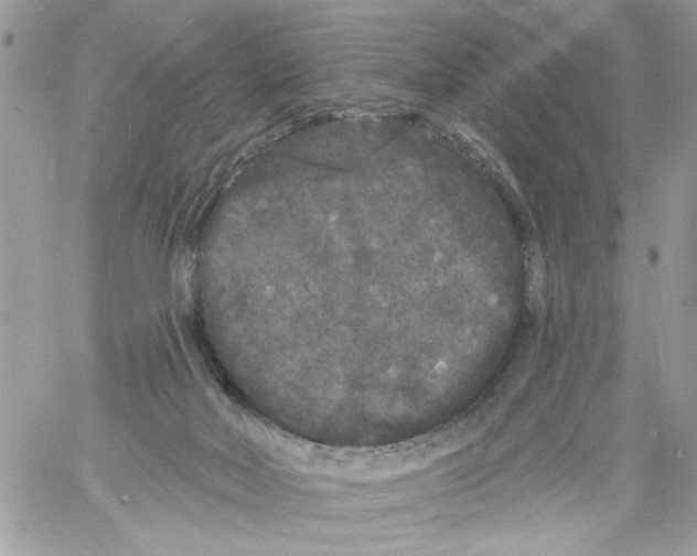 X0000061730026200512302157