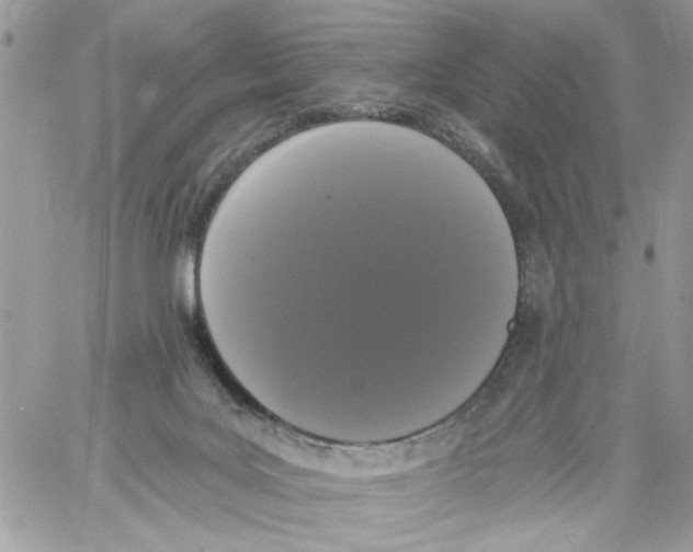 X0000061730027200512302157