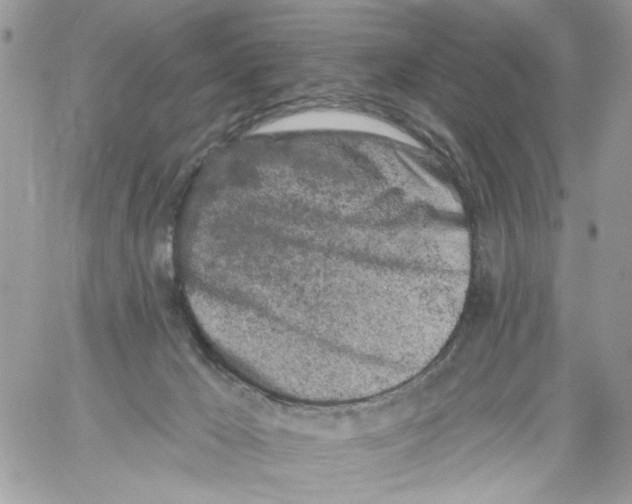 X0000061730029200512302157