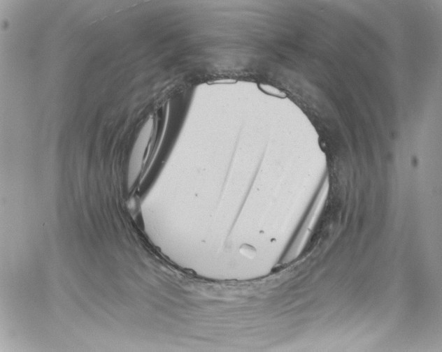 X0000061730033200512302157