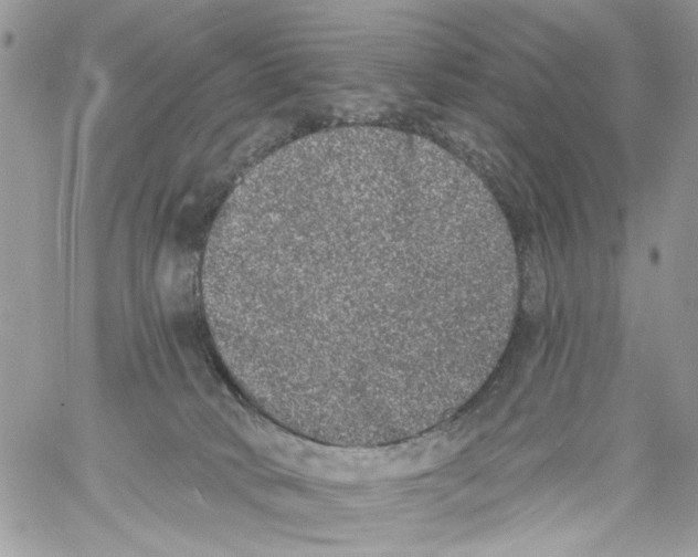 X0000061730034200512302157